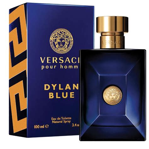 versace dylan puple|versace dylan blue 100ml price.